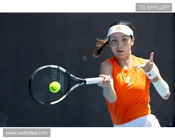 澳网第五王欣瑜迎法网冠德约冲关